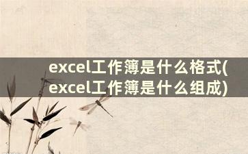 excel工作簿是什么格式(excel工作簿是什么组成)