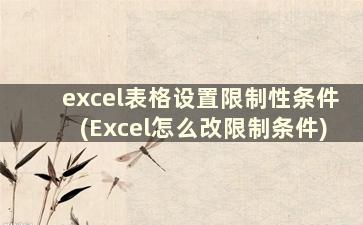 excel表格设置限制性条件(Excel怎么改限制条件)