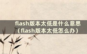 flash版本太低是什么意思（flash版本太低怎么办）