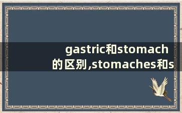 gastric和stomach的区别,stomaches和stomachs的区别