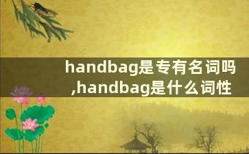 handbag是专有名词吗,handbag是什么词性