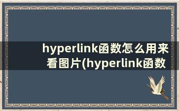 hyperlink函数怎么用来看图片(hyperlink函数怎么用相对路径)