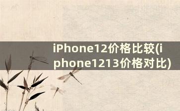 iPhone12价格比较(iphone1213价格对比)