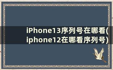 iPhone13序列号在哪看(iphone12在哪看序列号)