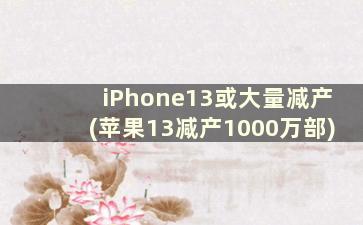 iPhone13或大量减产(苹果13减产1000万部)