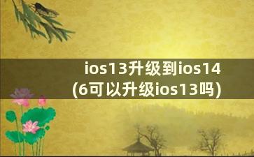 ios13升级到ios14(6可以升级ios13吗)