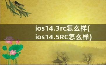 ios14.3rc怎么样(ios14.5RC怎么样)