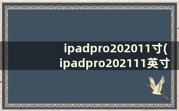 ipadpro202011寸(ipadpro202111英寸)