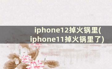 iphone12掉火锅里(iphone11掉火锅里了)