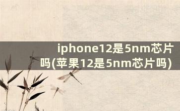 iphone12是5nm芯片吗(苹果12是5nm芯片吗)