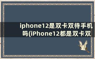 iphone12是双卡双待手机吗(iPhone12都是双卡双待的吗)