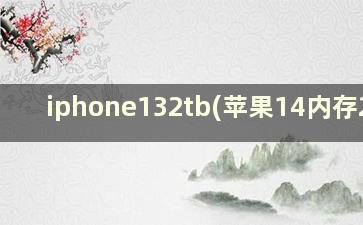 iphone132tb(苹果14内存2TB)