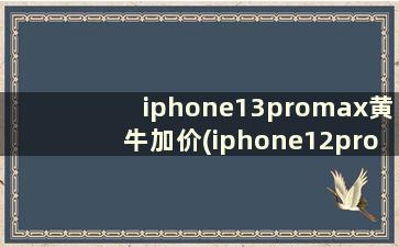iphone13promax黄牛加价(iphone12promax要加价吗)