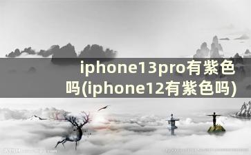 iphone13pro有紫色吗(iphone12有紫色吗)