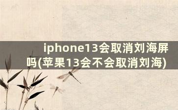 iphone13会取消刘海屏吗(苹果13会不会取消刘海)