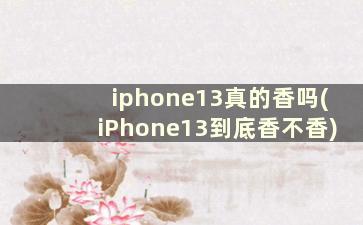 iphone13真的香吗(iPhone13到底香不香)