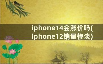 iphone14会涨价吗(iphone12销量惨淡)