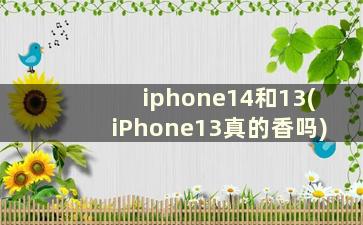 iphone14和13(iPhone13真的香吗)