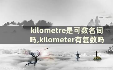 kilometre是可数名词吗,kilometer有复数吗