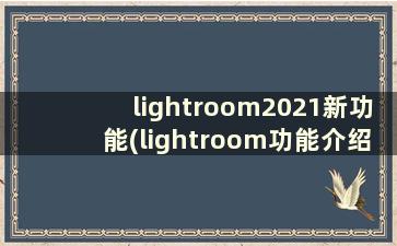 lightroom2021新功能(lightroom功能介绍)