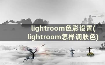 lightroom色彩设置(lightroom怎样调肤色)