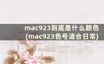 mac923到底是什么颜色(mac923色号适合日常)