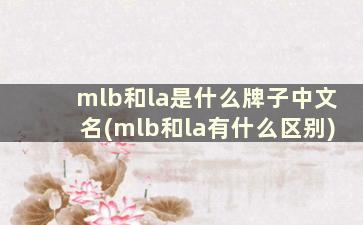 mlb和la是什么牌子中文名(mlb和la有什么区别)