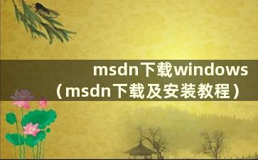 msdn下载windows（msdn下载及安装教程）