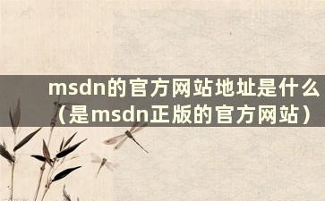 msdn的官方网站地址是什么（是msdn正版的官方网站）