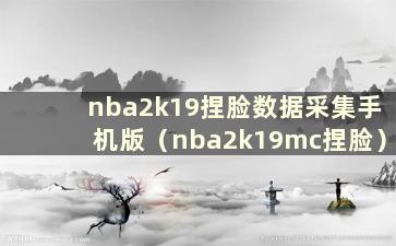 nba2k19捏脸数据采集手机版（nba2k19mc捏脸）