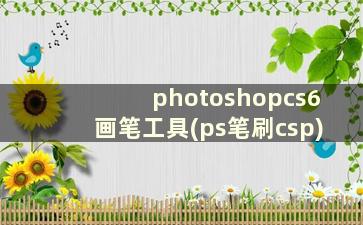 photoshopcs6画笔工具(ps笔刷csp)