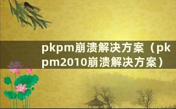 pkpm崩溃解决方案（pkpm2010崩溃解决方案）