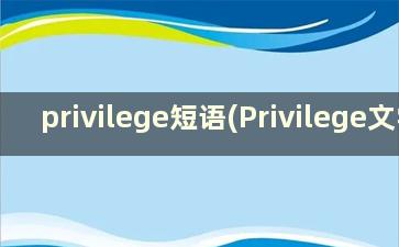 privilege短语(Privilege文学)
