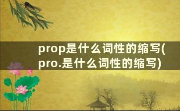 prop是什么词性的缩写(pro.是什么词性的缩写)