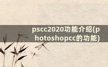 pscc2020功能介绍(photoshopcc的功能)