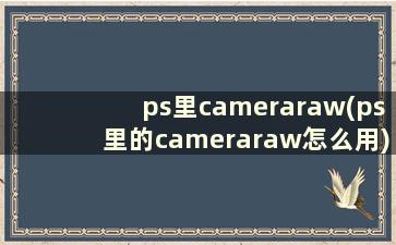 ps里cameraraw(ps里的cameraraw怎么用)