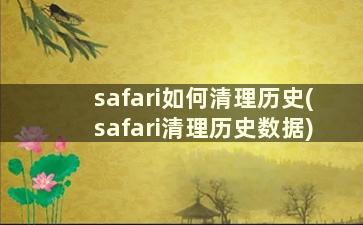 safari如何清理历史(safari清理历史数据)
