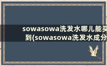 sowasowa洗发水哪儿能买到(sowasowa洗发水成分表)