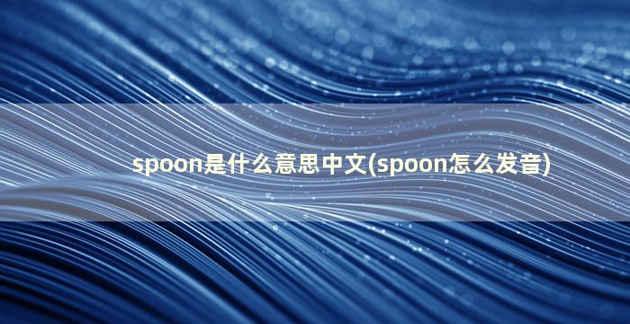 spoon是什么意思中文(spoon怎么发音)