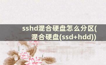 sshd混合硬盘怎么分区(混合硬盘(ssd+hdd))