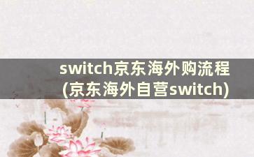 switch京东海外购流程(京东海外自营switch)