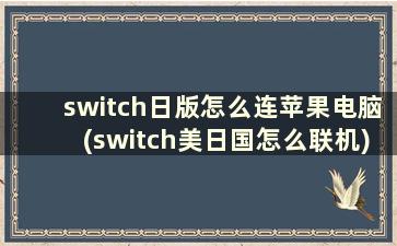 switch日版怎么连苹果电脑(switch美日国怎么联机)