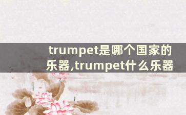 trumpet是哪个国家的乐器,trumpet什么乐器