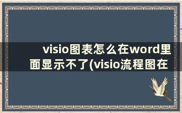 visio图表怎么在word里面显示不了(visio流程图在word中不显示)