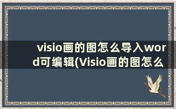 visio画的图怎么导入word可编辑(Visio画的图怎么导入word)