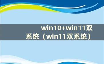 win10+win11双系统（win11双系统）
