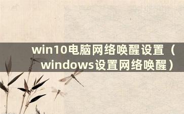 win10电脑网络唤醒设置（windows设置网络唤醒）