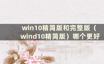 win10精简版和完整版（wind10精简版）哪个更好