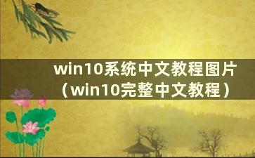 win10系统中文教程图片（win10完整中文教程）