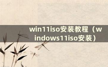 win11iso安装教程（windows11iso安装）